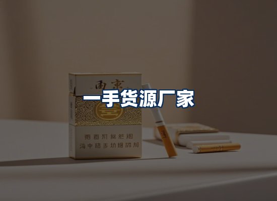 专业团队办公环境
